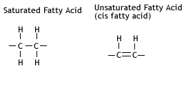 Saturated Fatty Acid and Unsaturated Fatty acid structure